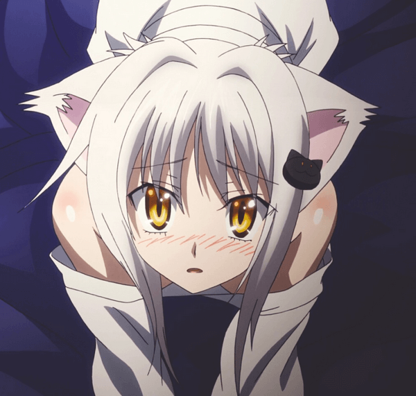Golden-Eyed Koneko Toujou From High School DxD